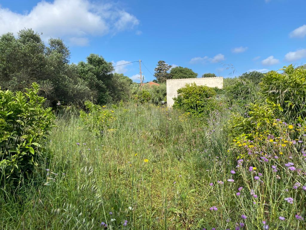 Land in Kolimvari, Chania Prefecture, Greece – 54604
