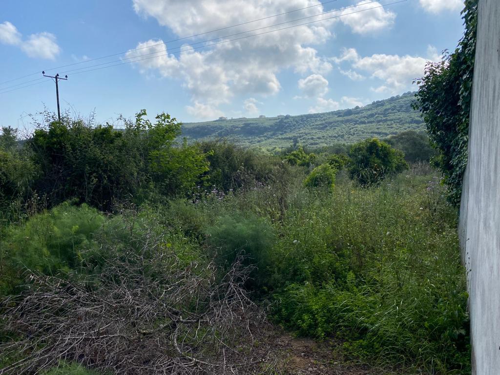 Land in Kolimvari, Chania Prefecture, Greece – 54604