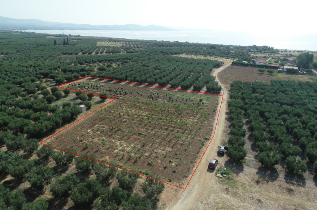 Land in Nea Propontida, Chalkidiki, Greece – 54523