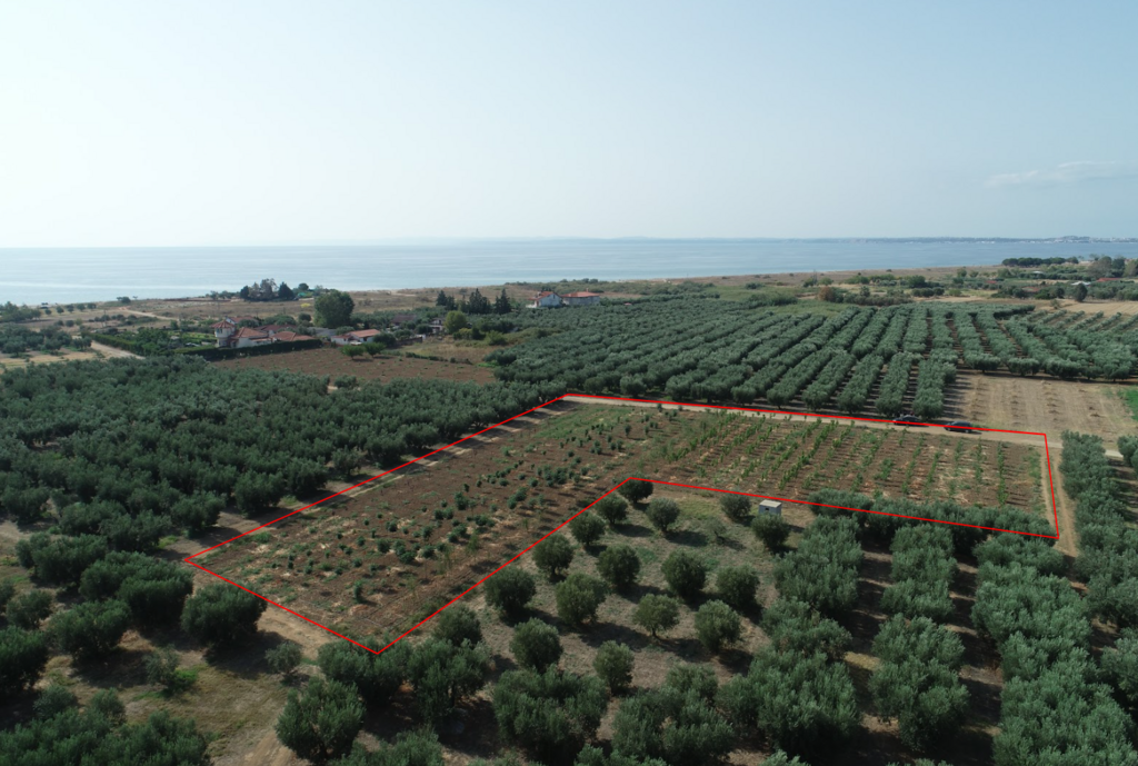 Land in Nea Propontida, Chalkidiki, Greece – 54523