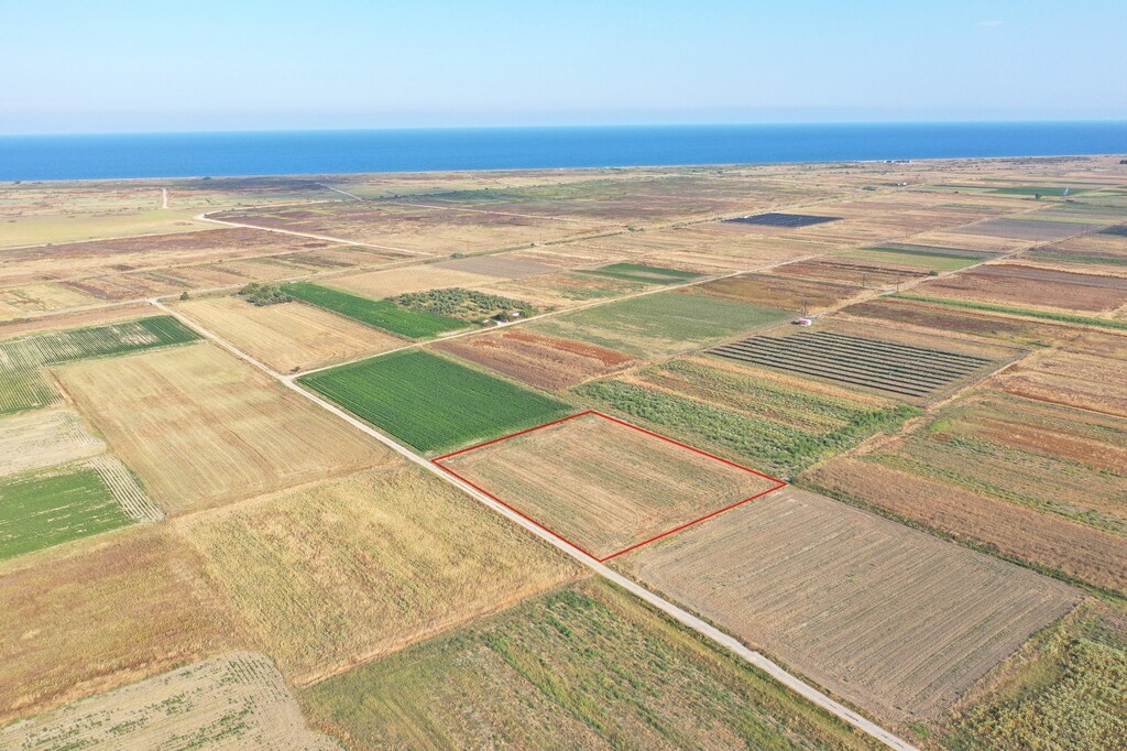 Land in Katerini, Pieria Prefecture, Greece – 54512