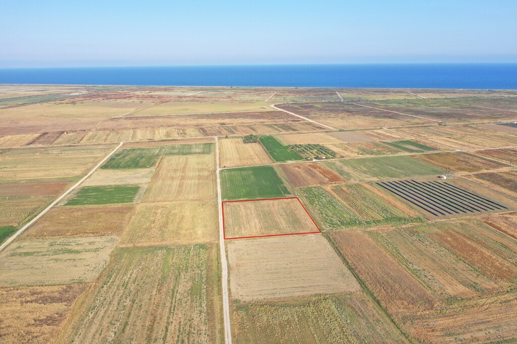 Land in Katerini, Pieria Prefecture, Greece – 54512
