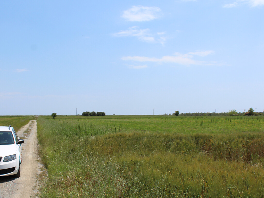 Land in Katerini, Pieria Prefecture, Greece – 54512