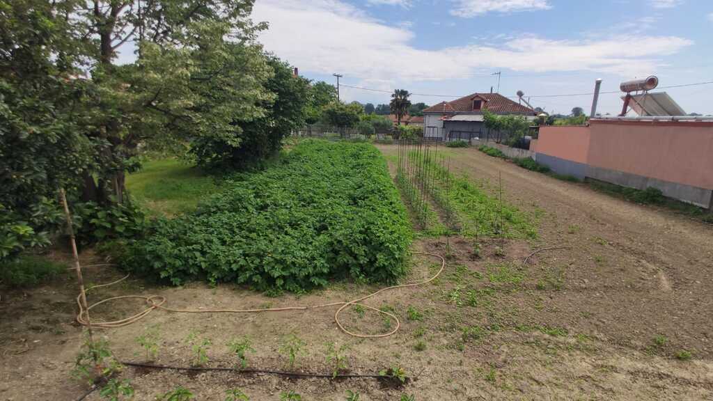 Land in Dion, Pieria Prefecture, Greece – 54509