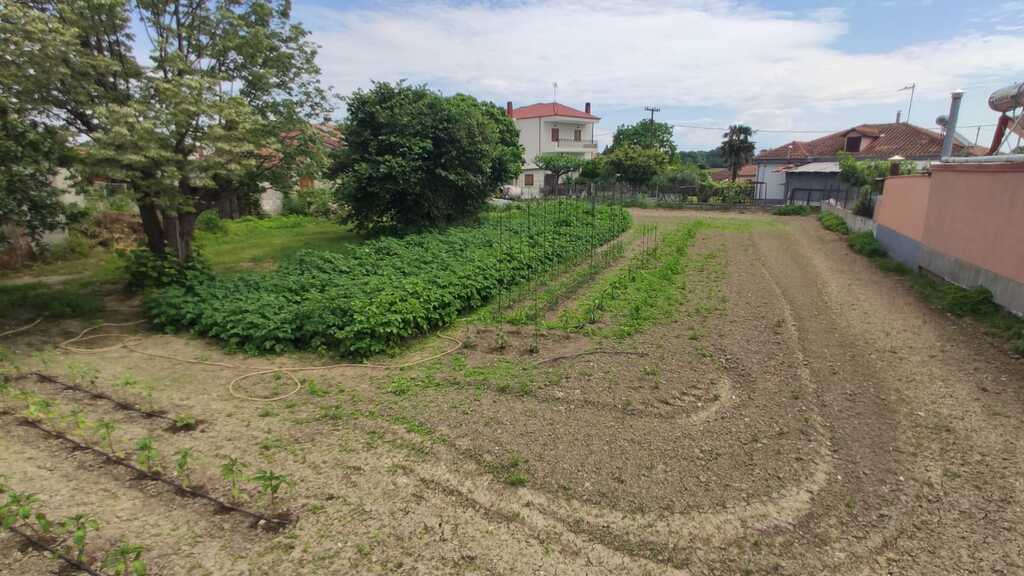 Land in Dion, Pieria Prefecture, Greece – 54509