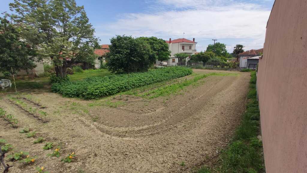 Land in Dion, Pieria Prefecture, Greece – 54509