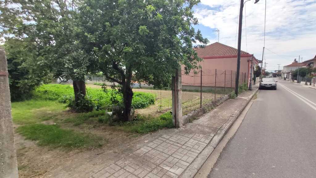 Land in Dion, Pieria Prefecture, Greece – 54509