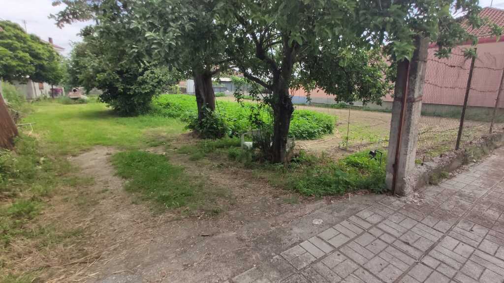 Land in Dion, Pieria Prefecture, Greece – 54509