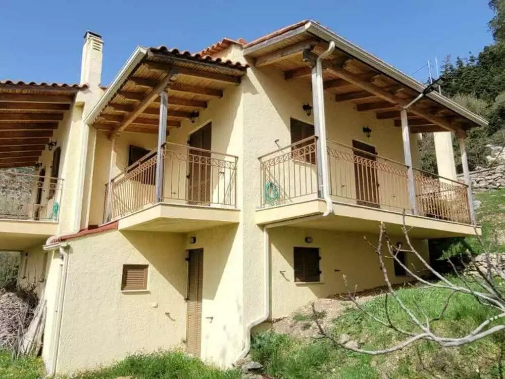 4 bedroom Detached house in Lasiona, Ilia, Greece – 54498
