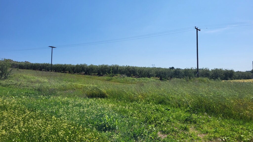 Land in Kassandra, Chalkidiki, Greece – 54451
