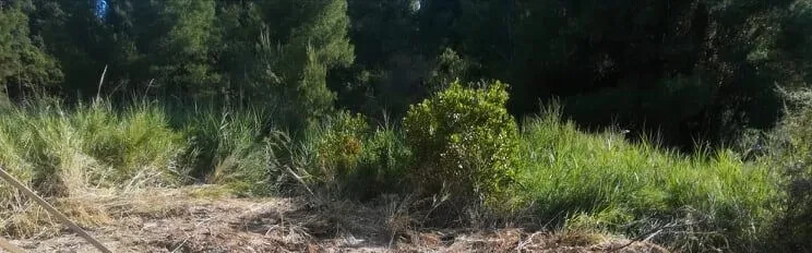 Land in Kassandra, Chalkidiki, Greece – 54428