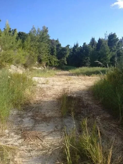 Land in Kassandra, Chalkidiki, Greece – 54428