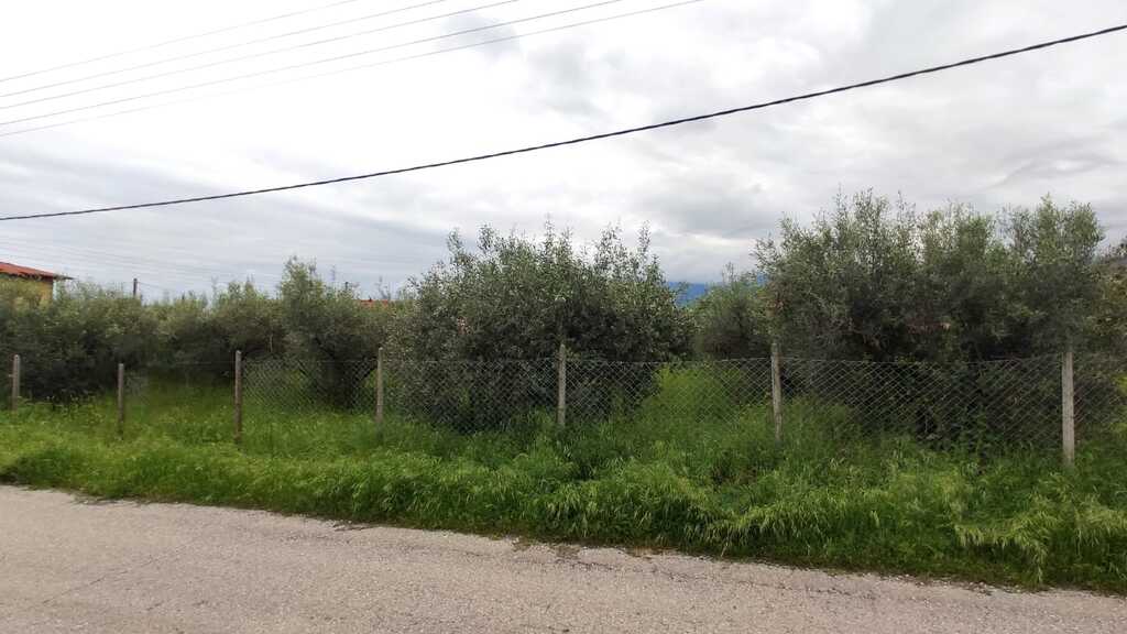 Land in Easts Olimpos, Pieria Prefecture, Greece – 54379