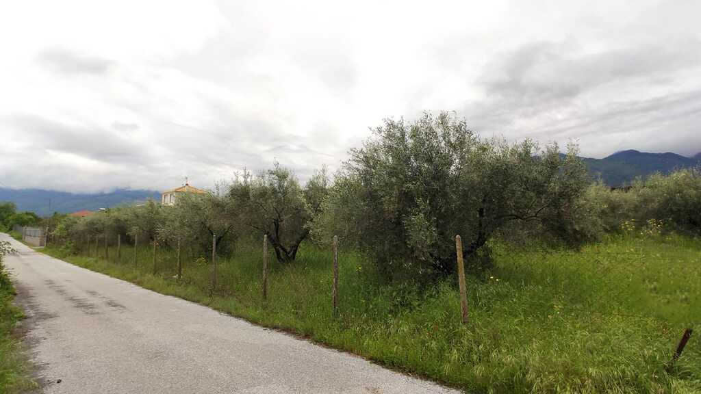 Land in Easts Olimpos, Pieria Prefecture, Greece – 54379