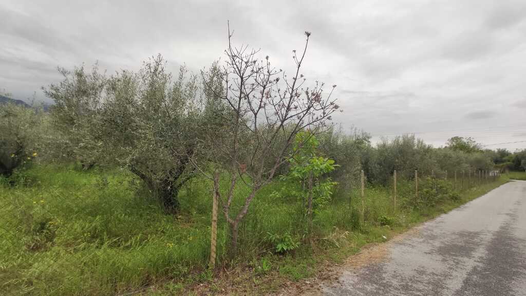 Land in Easts Olimpos, Pieria Prefecture, Greece – 54379
