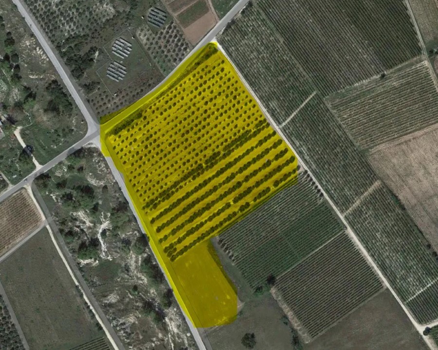 Land in Pierea, Kavala Prefecture, Greece – 54373