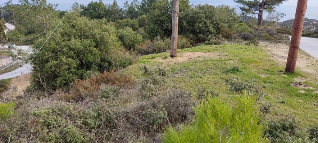 Land in Kavala, Kavala Prefecture, Greece – 54371