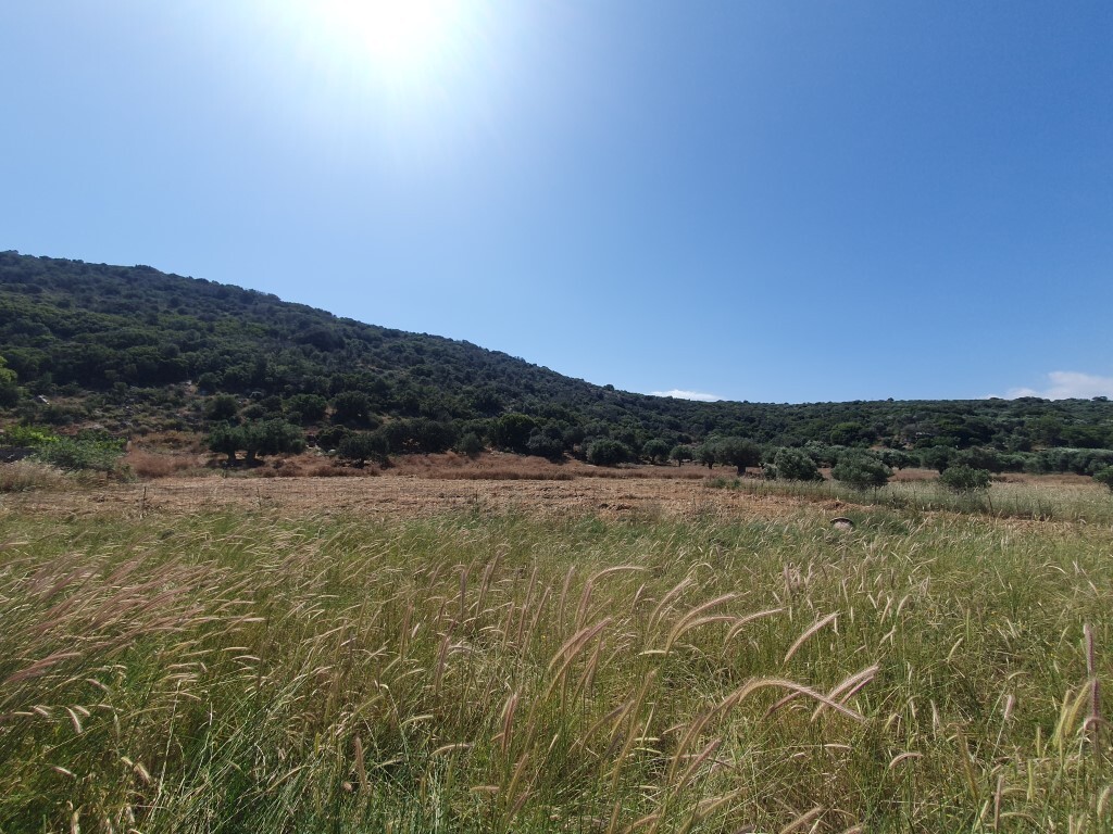 Land in Agios Nikolaos, Lasithi Prefecture, Greece – 54330