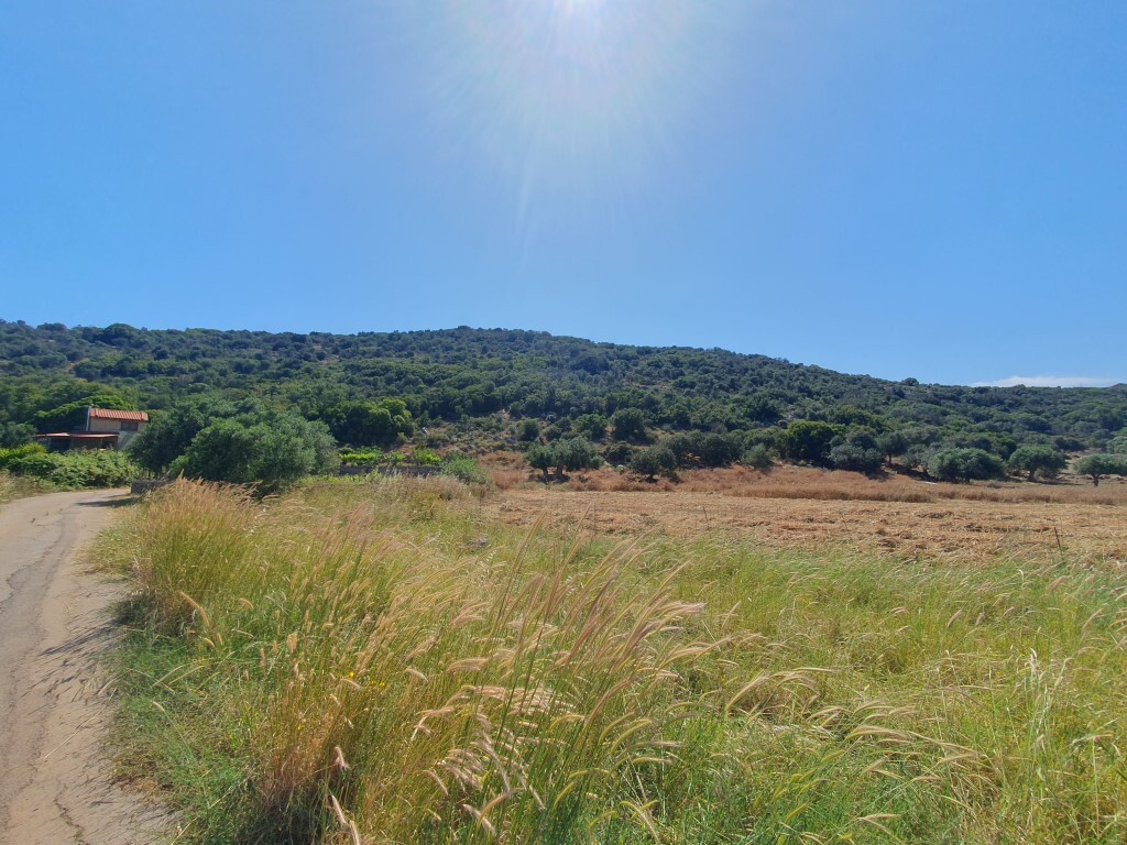 Land in Agios Nikolaos, Lasithi Prefecture, Greece – 54330