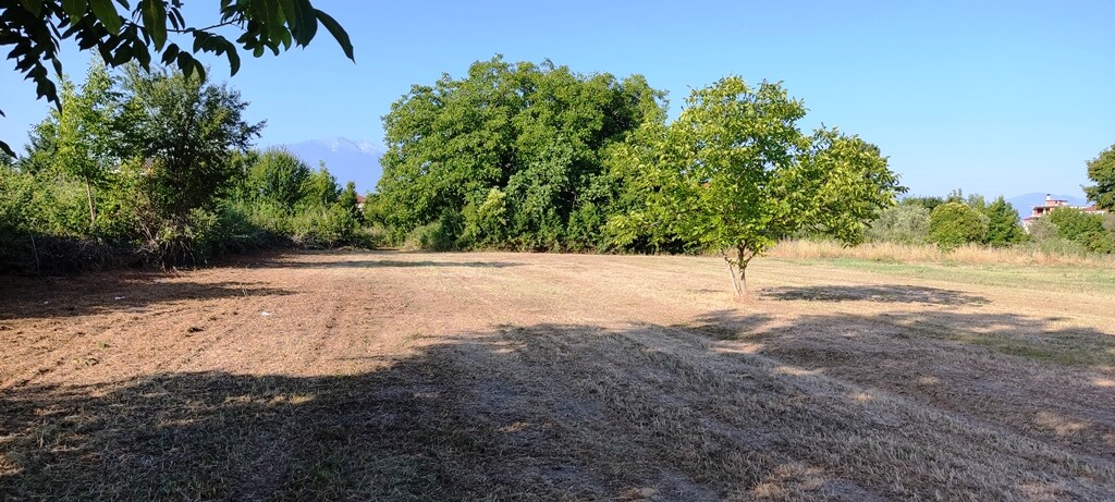 Land in Katerini, Pieria Prefecture, Greece – 53300