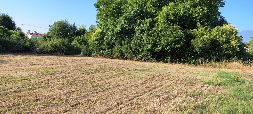 Land in Katerini, Pieria Prefecture, Greece – 53300