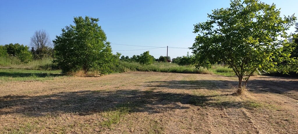 Land in Katerini, Pieria Prefecture, Greece – 53300
