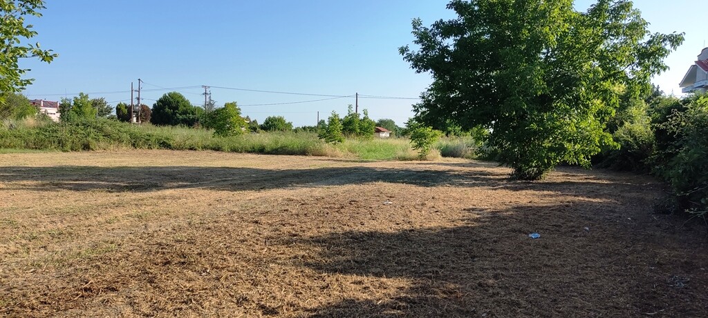 Land in Katerini, Pieria Prefecture, Greece – 53300