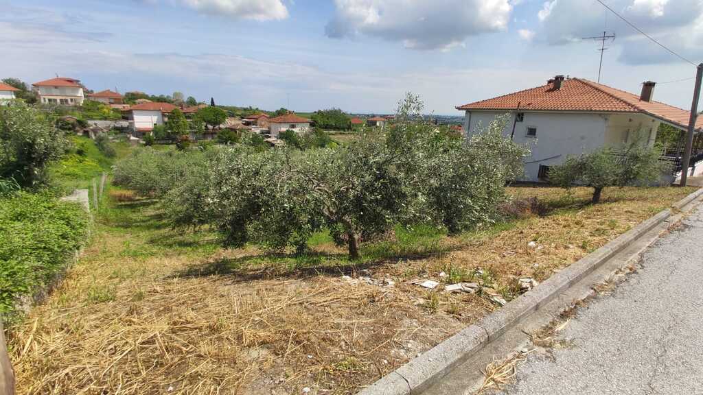 Land in Katerini, Pieria Prefecture, Greece – 53297