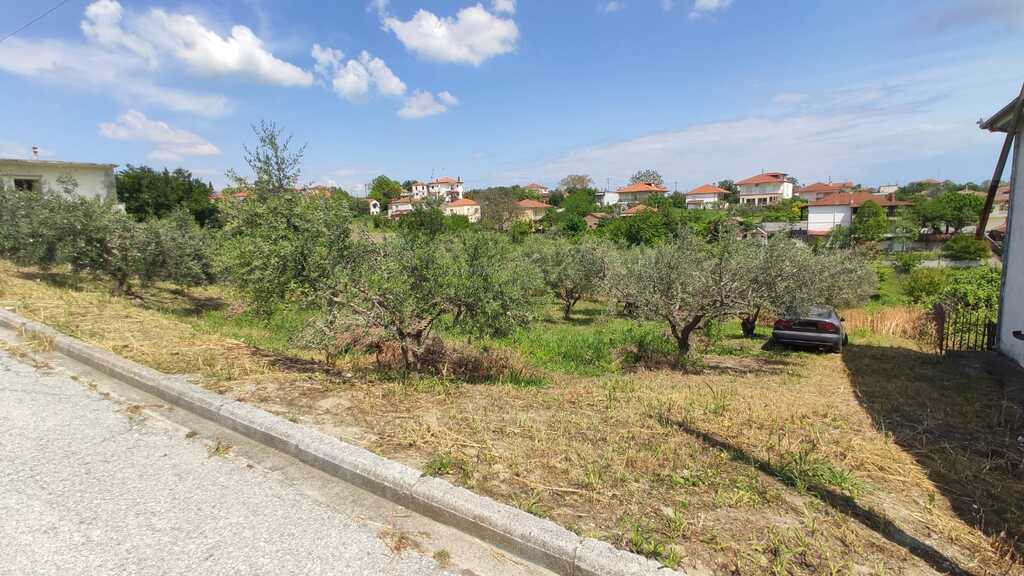 Land in Katerini, Pieria Prefecture, Greece – 53297