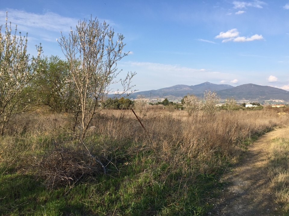 Land in Thermi, Thessaloniki – Suburbs, Greece – 53251