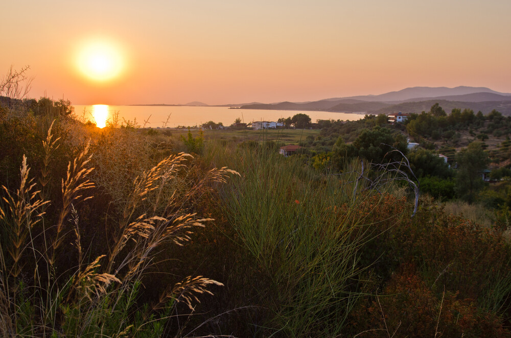 Land in Sithonia, Chalkidiki, Greece – 53218