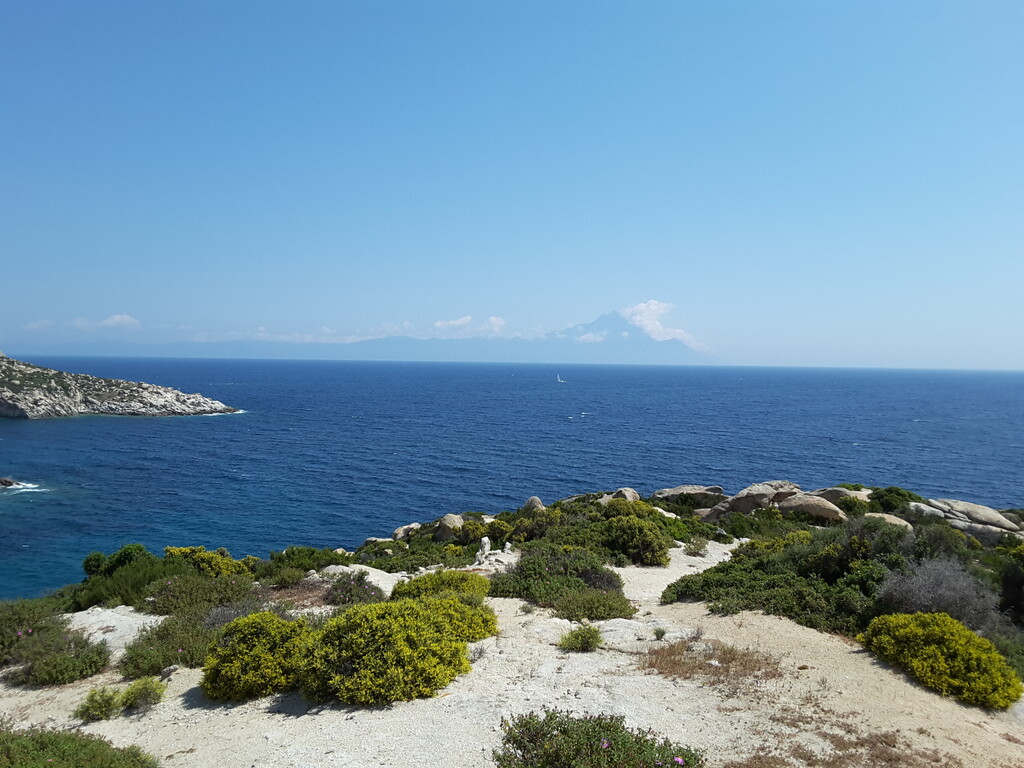Land in Sithonia, Chalkidiki, Greece – 53075