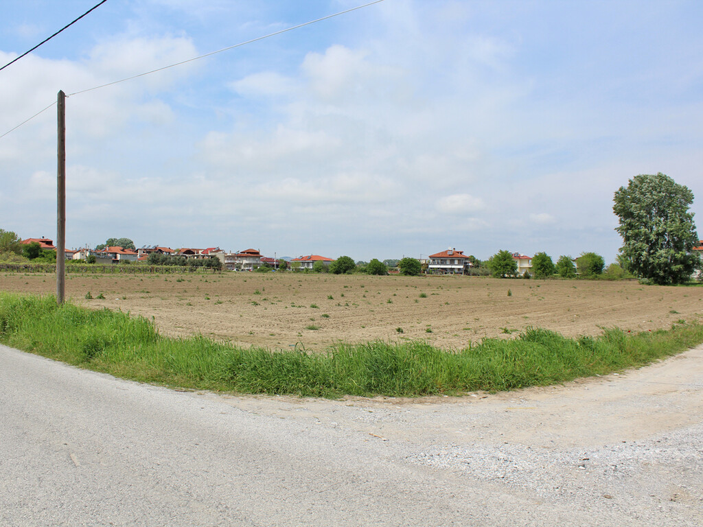 Land in Katerini, Pieria Prefecture, Greece – 53070
