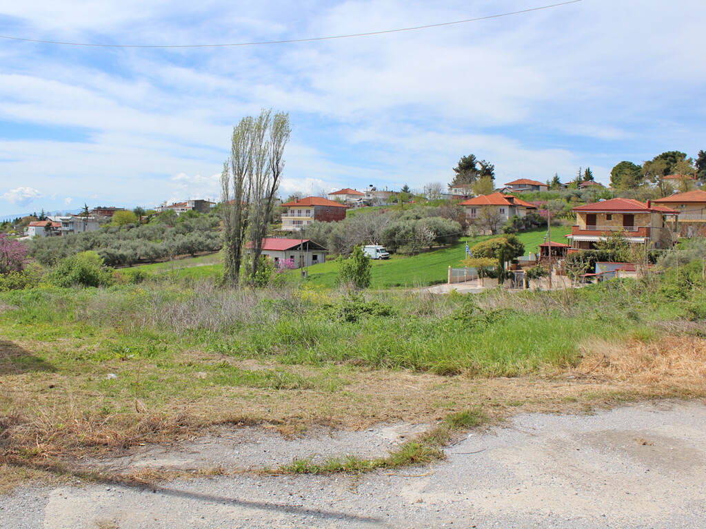 Land in Pidna, Pieria Prefecture, Greece – 53028