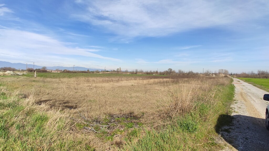 Land in Katerini, Pieria Prefecture, Greece – 52907