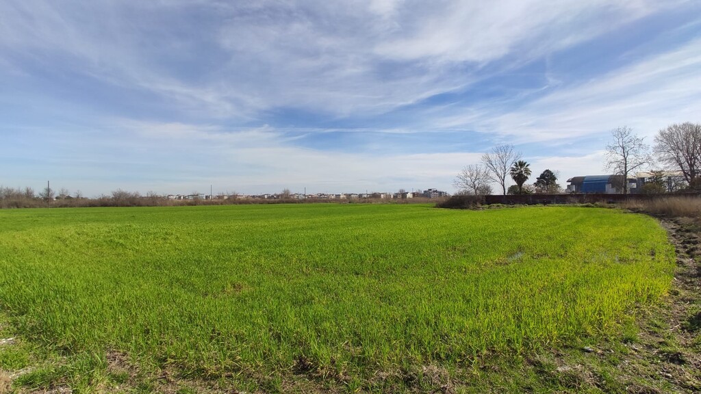 Land in Katerini, Pieria Prefecture, Greece – 52907