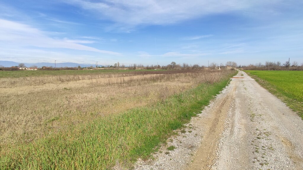 Land in Katerini, Pieria Prefecture, Greece – 52907