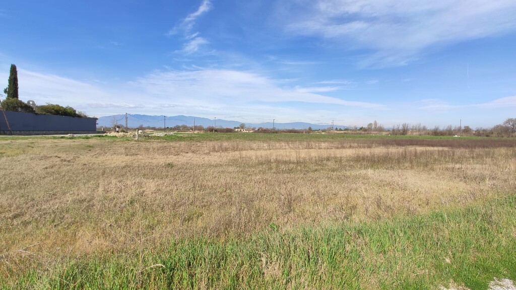 Land in Katerini, Pieria Prefecture, Greece – 52907