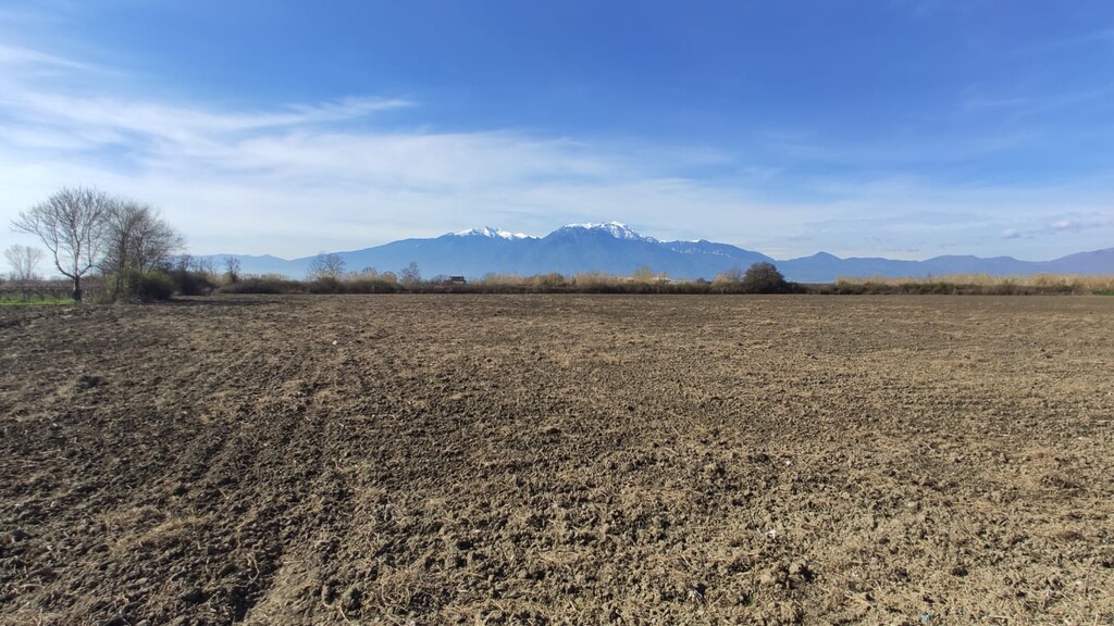 Land in Katerini, Pieria Prefecture, Greece – 52867