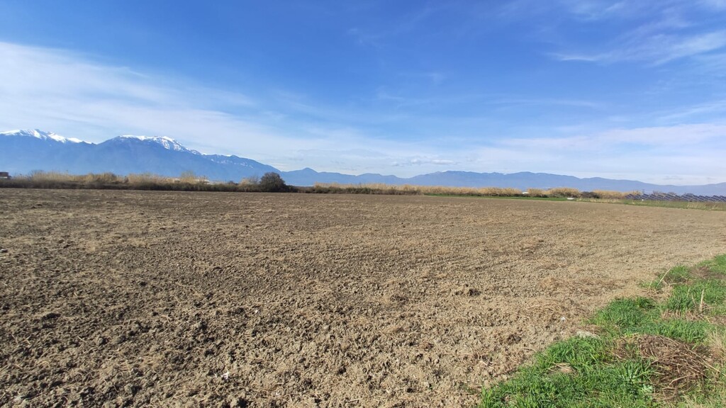 Land in Katerini, Pieria Prefecture, Greece – 52867