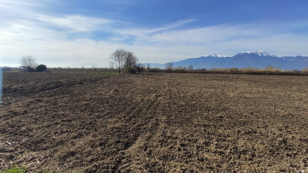 Land in Katerini, Pieria Prefecture, Greece – 52867