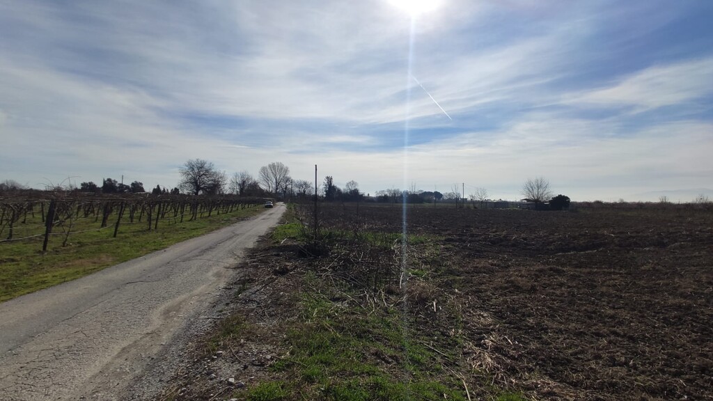 Land in Katerini, Pieria Prefecture, Greece – 52867