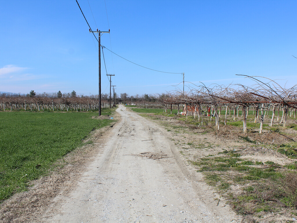 Land in Kolindros, Pieria Prefecture, Greece – 52785