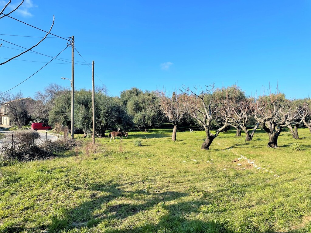 Land in Corfu, Corfu Prefecture, Greece – 52631