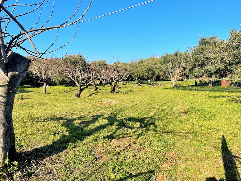 Land in Corfu, Corfu Prefecture, Greece – 52631
