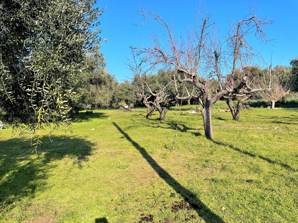 Land in Corfu, Corfu Prefecture, Greece – 52631