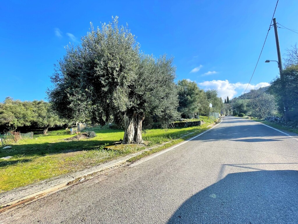 Land in Corfu, Corfu Prefecture, Greece – 52629