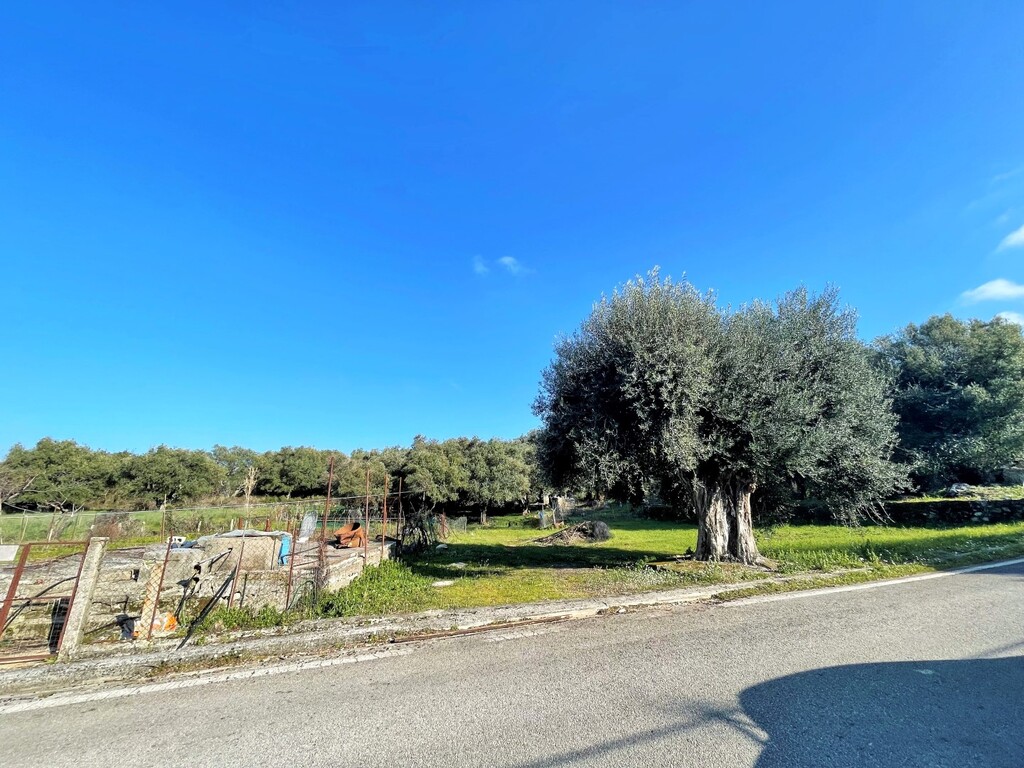 Land in Corfu, Corfu Prefecture, Greece – 52629