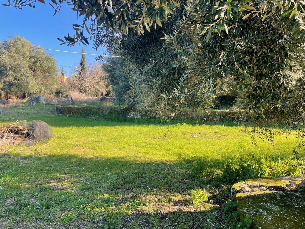 Land in Corfu, Corfu Prefecture, Greece – 52629