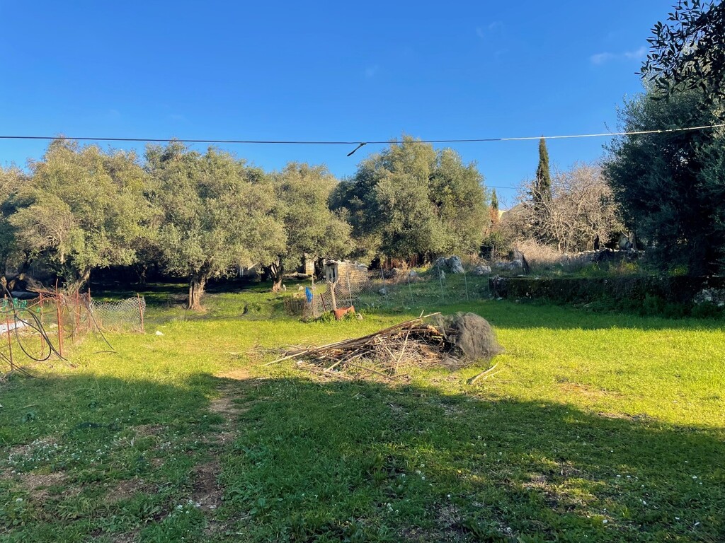 Land in Corfu, Corfu Prefecture, Greece – 52629